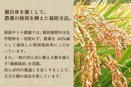 【定期便6ヶ月毎月お届け】【2024年先行予約】【令和6年産新米】化学肥料未使用の従来コシヒカリ【厳選八蔵10kg】特別栽培 有機肥料で育った厳選米 加茂市 新潟サトウ農園