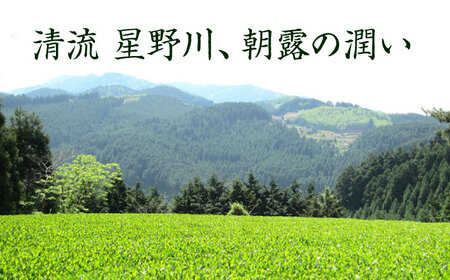 【奥八女星野村】八女茶 高級煎茶 深蒸し茶 100g×1袋＜株式会社ビーキューブ＞那珂川市 緑茶 お茶 茶葉 煎茶[GED024]