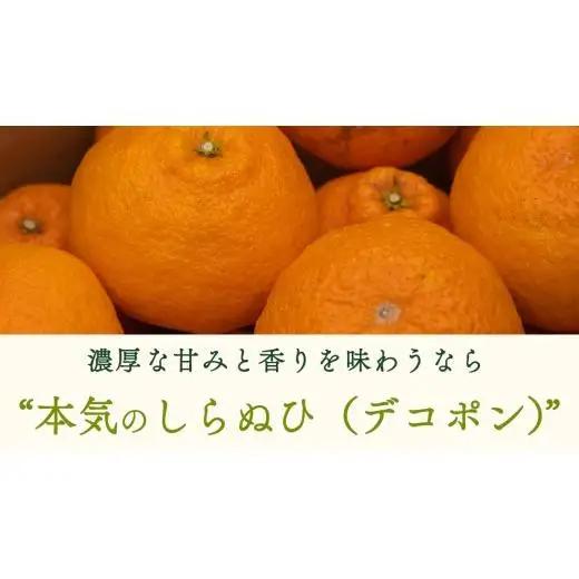 【 先行予約 】 瀬戸内 オーガニック 不知火 5kg+お試しオーガニックレモン1個 【2027年2月～3月発送】 有機JAS認証 有機栽培