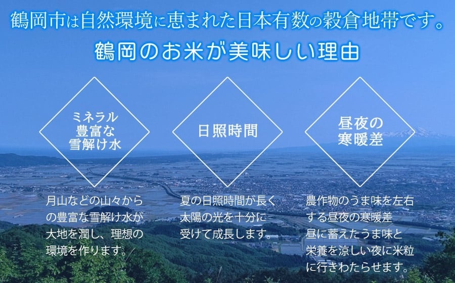 【令和7年産】【定期便】 山形 はえぬき 精米 10kg(5kg×2袋)×3ヶ月　山形県鶴岡市産　株式会社菜な八（鶴岡ファーマーズ）
