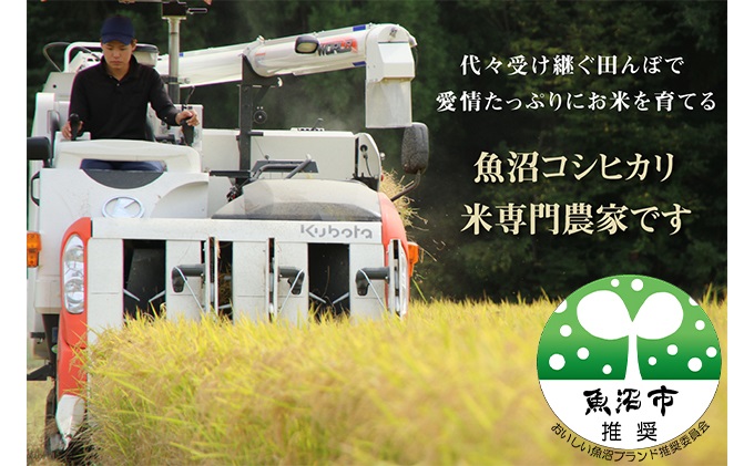 農家直送！ 魚沼産 コシヒカリ 精米 5kg 12ヶ月 連続お届け（ 米 定期便 こしひかり お米 こめ コメ 魚沼産コシヒカリ 魚沼 新潟 魚沼産こしひかり おこめ 白米 定期 お楽しみ 12回 ）