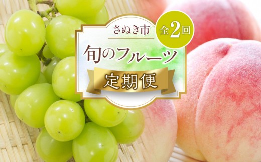 
            【定期便全2回】旬のフルーツ定期便 (桃 シャインマスカット)【もも 葡萄 ぶどう 旬 人気 果物 くだもの フルーツ 香川県】
          
