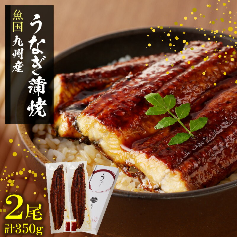 【ふるさと納税】うなぎ 国産 2尾 計約350g 新鮮 九州産 蒲焼 お土産 お祝い 昭和47年創業 秘伝のタレ 4度付け 電子レンジ フライパン 柔らかい うなぎ巻き ひつまぶし 冷凍 お取り寄せ お取り寄せグルメ 福岡県 久留米市 送料無料
