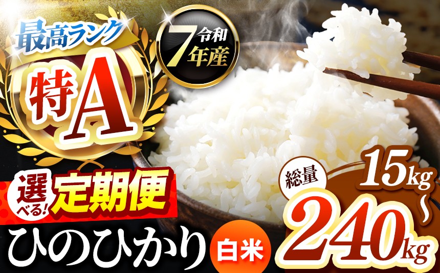 
            【 定期便 】熊本県産 ひのひかり 白米 選べる 内容量 5kg ～ 20kg 発送回数 3回 ～ 12回 | お米 米 こめ おこめ 精米 白米 ヒノヒカリ 5キロ 10キロ 15キロ 20キロ 10kg 15kg ご飯 国産 国産米 定期 くまもと 熊本 熊本県 玉名市 玉名
          