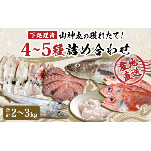 鮮魚 詰め合わせ 2～3kg（4～5種）下処理済み 漁師直送! 宮城県産 鮮魚 内臓処理済 お楽しみ 鮮魚ボックス 詰め合わせ 魚 食べ比べ お魚 とれたて 美味しい 新鮮 海鮮 魚介 刺身 焼き魚 煮付け フライ レシピ付 簡単調理 宮城県 石巻市 山神丸 送料無料