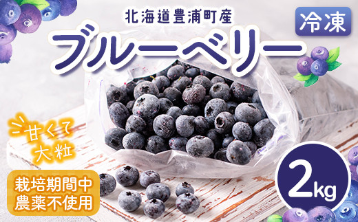 北海道 豊浦町産 冷凍 ブルーベリー 2kg 栽培期間中農薬不使用 【ふるさと納税 人気 おすすめ ランキング 果物 ブルーベリー 冷凍ブルーベリー 国産ブルーベリー 濃厚ブルーベリー 大容量 無農薬 おいしい 美味しい あまい 新鮮 北海道 豊浦町 送料無料】 TYUS020