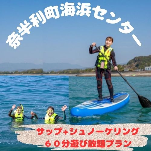 【ふるさと納税】サップ+シュノーケリング60分遊び放題プラン利用券（1名） 期間限定 春 夏 秋 マリンアクティビティ シュノーケリング アウトドア 海遊び 海 サップ SUP /高知県奈半利町