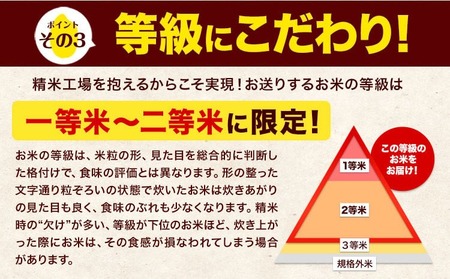 米 令和7年産 森のくまさん 白米 20kg 5kg×4袋 計6回お届け 《お申込み翌月から出荷》 お米 こめ 熊本県産 ご飯 備蓄
