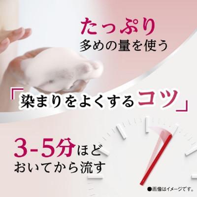 ふるさと納税 稲沢市 ダリヤ　サロン　ド　プロ　カラーシャンプー 《ダークブラウン》3個セット |  | 03