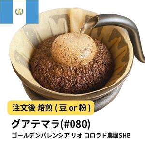 【豆】コーヒー #080 グアテマラ ゴールデンパレンシア リオ コロラド農園SHB 310g 当日焙煎 大山珈琲