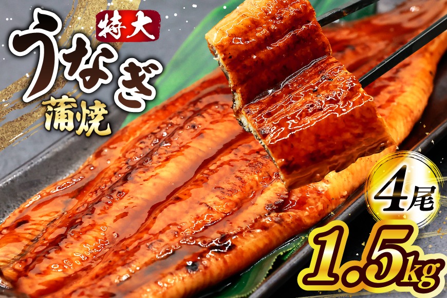 うなぎ 小分け 蒲焼 4尾 特大サイズ 約 1.5kg 肉厚 タレ・山椒付 茶葉蒸し [大黒物産 福岡県 宇美町 um40bak830002] 鰻 ウナギ うなぎ蒲焼 鰻蒲焼き 訳あり 蒲焼き かば焼き 真空パック 個包装 冷凍 unagi