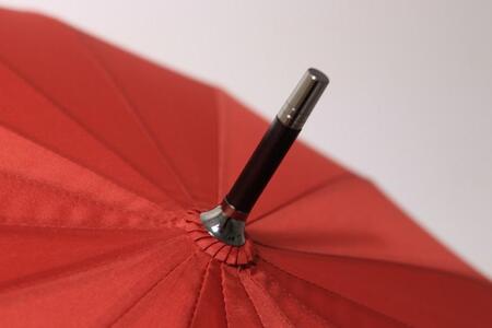 【ふるさと納税】傘　紀州漆器アンブレラ　【ねごろ塗】 16本骨和傘　レディース ｜ 女性　婦人　風に強い丈夫なグラスファイバー骨　カバー付き　母の日・敬老の日・誕生日・記念品など贈り物にも適したギフト