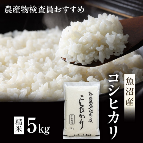 令和8年産 農産物検査員お奨め 魚沼産こしひかり（精米）5kg お米 コシヒカリ