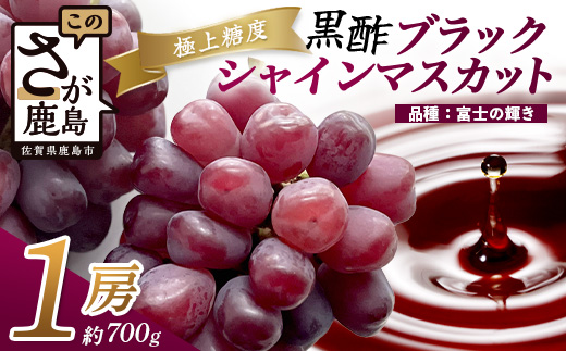 黒酢ブラックシャインマスカット『富士の輝き 1房（約700g）』【先行予約】【2026年8月下旬～9月下旬発送予定】上品な香りと甘みで満たされる宝石級ぶどう 黒酢アミノ酸効果の旨味 新鮮 生産者直送 果物 葡萄 ぶどう 佐賀県 鹿島市 送料無料 C-156
