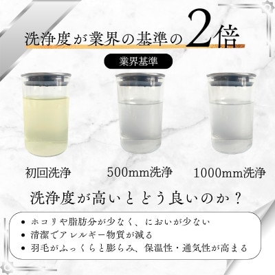 【洗える】羽毛布団 シングル 日本製 ダウン90% 1.0kg 無地クリーム抗菌防臭防ダニ立体キルト