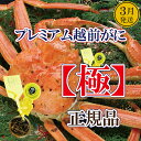 【ふるさと納税】完全なる越前がに「極」 × 1杯 桐箱入り！越前がにの頂点【雄 ズワイガニ ずわいがに 姿 生 ボイル 冷蔵 福井県】【3月発送分】希望日指定可 備考欄に希望日をご記入ください [e37-x013_03]
