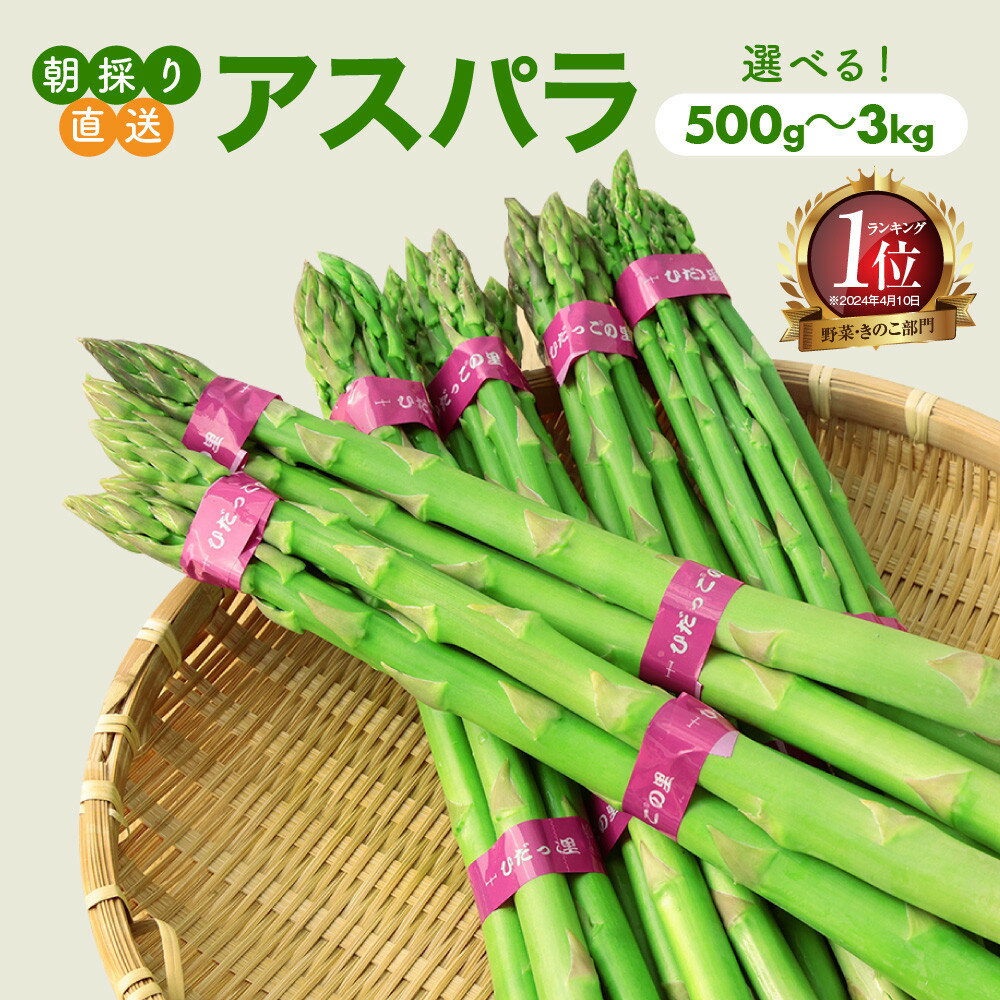 【ふるさと納税】【2025年発送】ひだっこアスパラ 500g～3kg 容量が選べる | アスパラ アスパラガス 飛騨産 野菜 春 夏野菜 産地直送 新鮮 食品 おいしい 人気 飛騨高山 ひだっこの里 CM001MP