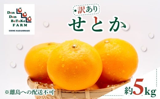 【先行予約】【訳あり】せとか 約5kg | 柑橘 みかん 果物 フルーツ 愛媛県産 農家直送 　※離島への配送不可　※2026年3月上旬より順次発送予定【ふるさと納税 人気 おすすめ ランキング 柑橘 みかん ミカン フルーツ mikan 果物 オレンジ せとか 訳ありDanDan BaTaKe FARM 愛媛県産 愛媛県 伊方町 送料無料】 IKTAU007