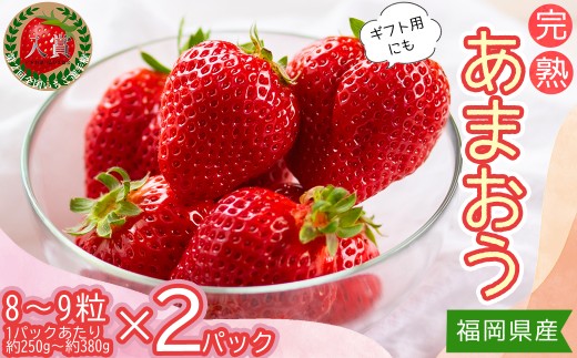【先行予約／2027年出荷】暖家のいちご　ギフト用完熟あまおう（８粒～９粒）×2パック 4H1