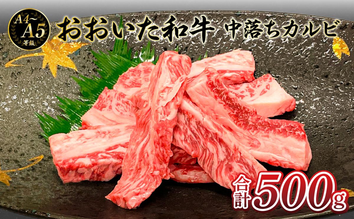 【A01133-K】【敬老の日ギフト】厳選A4～A5等級 おおいた和牛 中落ちカルビ 500g《9月15日お届け》