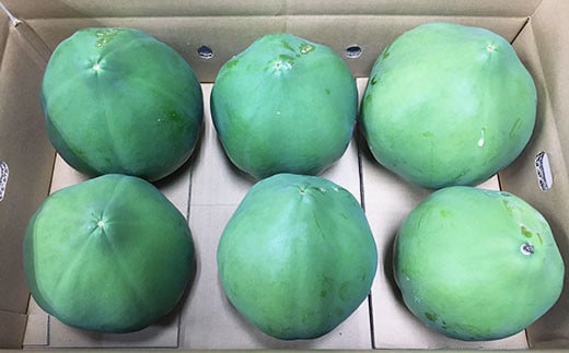 【先行予約】西都市産『青パパイヤ』5kg（4～7個）＜1-234＞西都市 果物 フルーツ