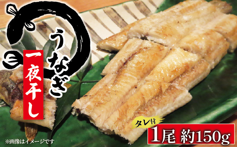 
                  うなぎの一夜干し150g 1尾 
                