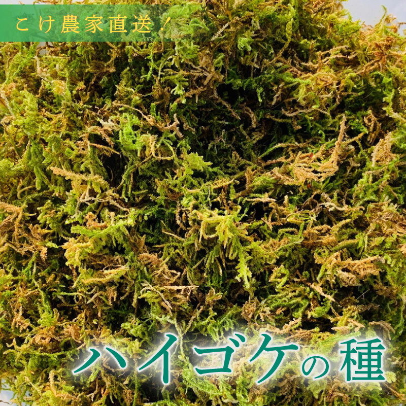 【ふるさと納税】 こけ専門農家直送 ハイゴケの種 5L 10L 苔 コケ 園芸 観葉植物 テラリウム 盆栽 庭作り ガーデニング 緑化 自然 エコ DIY 趣味 インテリア グリーン moss 苔玉 苔盆栽 苔テラリウム 苔リウム 苔むす 牧之原市 静岡県