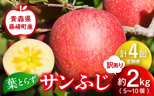 【先行予約】≪定期便≫産地直送　葉とらずサンふじ　訳あり　約2kg 合計4回【グランドアップル】 青森りんご 林檎 リンゴ 訳アリ わけあり ワケアリ ご家庭用 規格外 葉取らずりんご 発祥の地 果物 フルーツ 青森県産 藤崎町 おすすめ F41-0175
