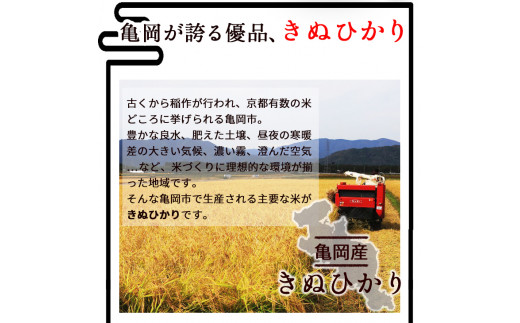 無洗米 10kg （2kg×5袋） 真空パック 京都丹波産 キヌヒカリ ※受注精米《米 白米 きぬひかり 10キロ 小分け ふるさと納税 無洗米 大嘗祭供納品種 亀岡そだち》※北海道・沖縄・その他離島