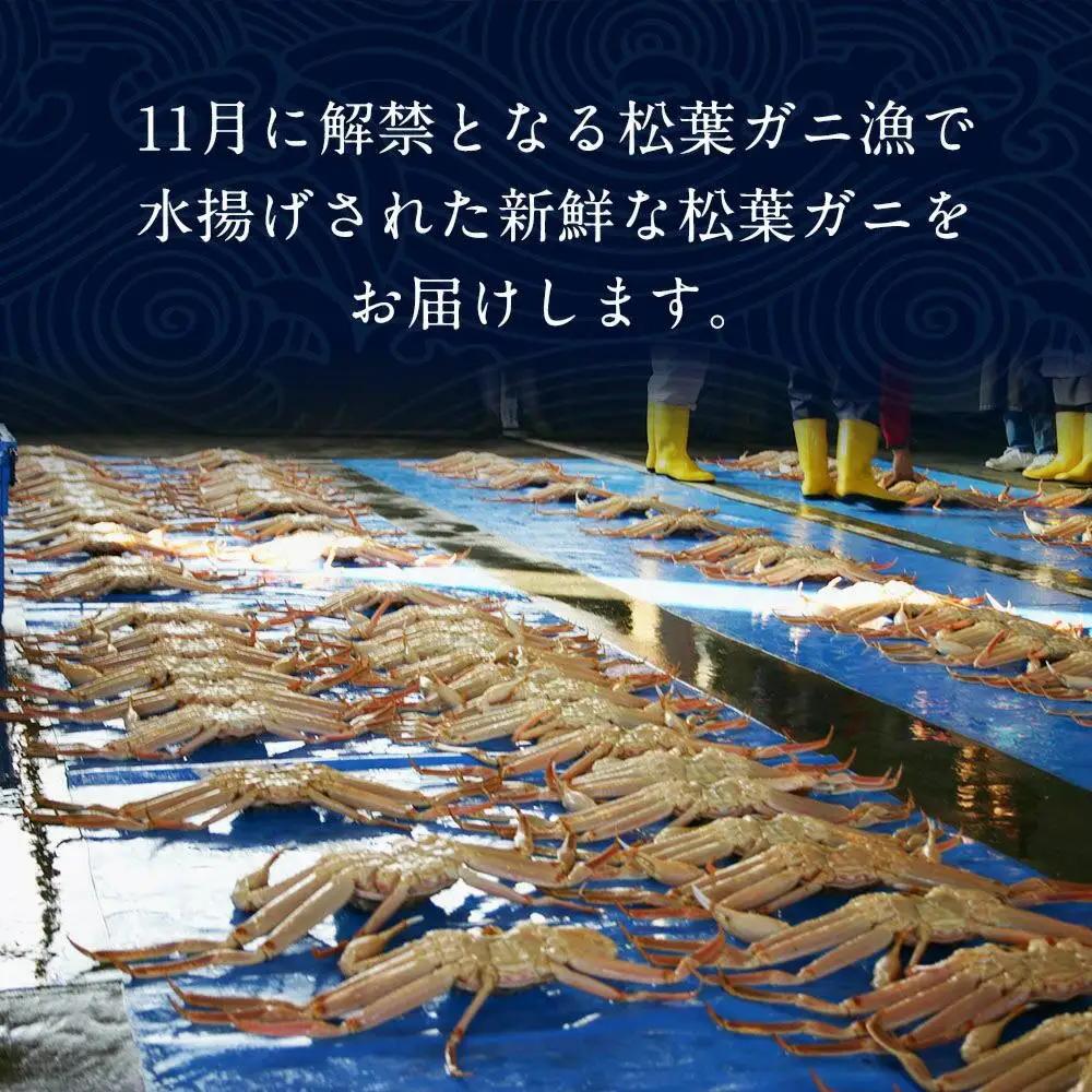 ご自宅用 訳あり ボイル松葉ガニ5kgセット 大満足のお任せ 大容量 | カニ 松葉ガニ 大容量　【着日指定不可】※2026年11月上旬～2027年3月下旬頃に順次発送予定