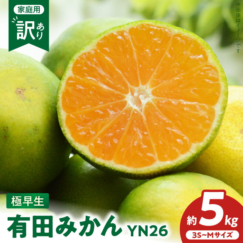 【ふるさと納税】限定 有田みかん 極早生 YN26 訳あり ご家庭用 お任せ サイズ 3S〜M 約5kg 糖度 高い 酸味 バランス 絶妙 むきやすい 手軽に 食べられる 爽やか 甘み 後味 すっきり 有田 みかん 柑橘 果物 フルーツ お取り寄せグルメ 和歌山県 湯浅町 送料無料
