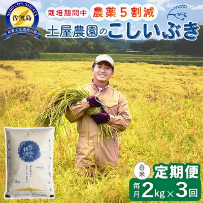 ふるさと納税 佐渡市 【毎月定期便】佐渡島産こしいぶき 白米2Kg 土屋農園 農家直送 栽培期間中農薬5割減 全3回