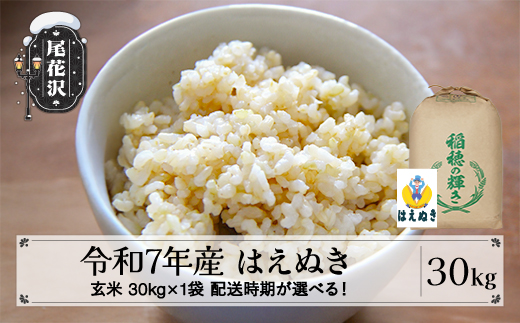 令和7年産 玄米 はえぬき 30kg 30kg×1袋 2025年産 米 お米 国産 山形県 尾花沢市 kh-hagxa30