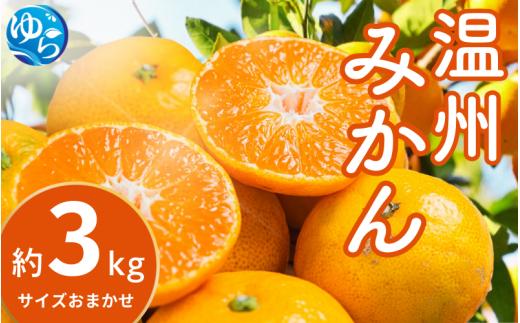 ＼レビューキャンペーン中／【先行予約】温州みかん 約3kg (サイズおまかせ)【2025年12月中旬から順次発送予定】※北海道・沖縄・離島配送不可 / ミカン 蜜柑 フルーツ 果物 柑橘 果実 由良町 国産 産地直送 和歌山県【eiw014】