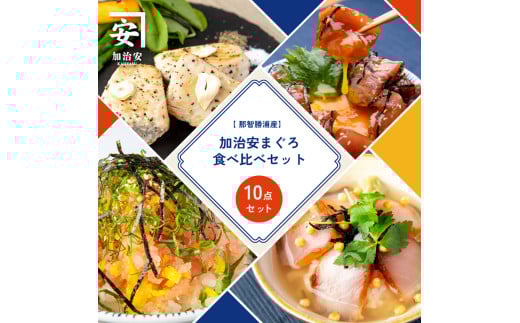 南紀勝浦 味自慢10点セット/まぐろ マグロ 鮪 勝浦【kys006】