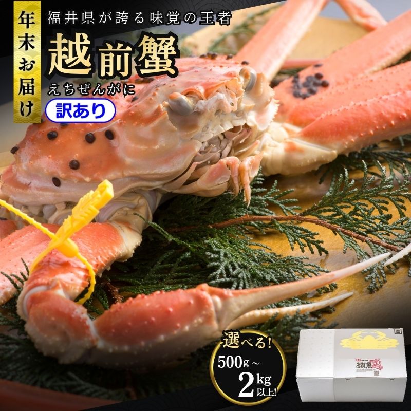 【ふるさと納税】【年末配送】越前ガニ(選べる500g～2kg)越前かに 越前カニ カニ ボイルガニ 蟹　お届け：2026年12月28日～30日