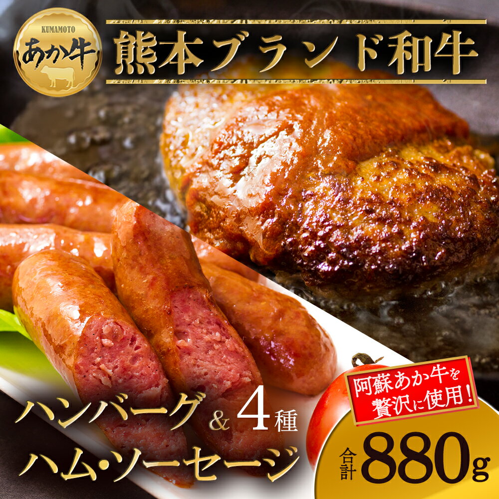 【ふるさと納税】阿蘇あか牛 ハンバーグ＆ハム・ソーセージセット 阿蘇グリーンストック ハンバーグ ペッパーフランクソーセージ あか牛ウインナー あか牛ブロック肉入り 冷凍 加工肉 詰め合わせ 食べ比べ 贈答用 ギフト 豪華 夕食 ディナー 人気 熊本県 阿蘇市