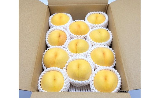秋実り 硬めの黄桃 3kg 秀品 FSY-2747