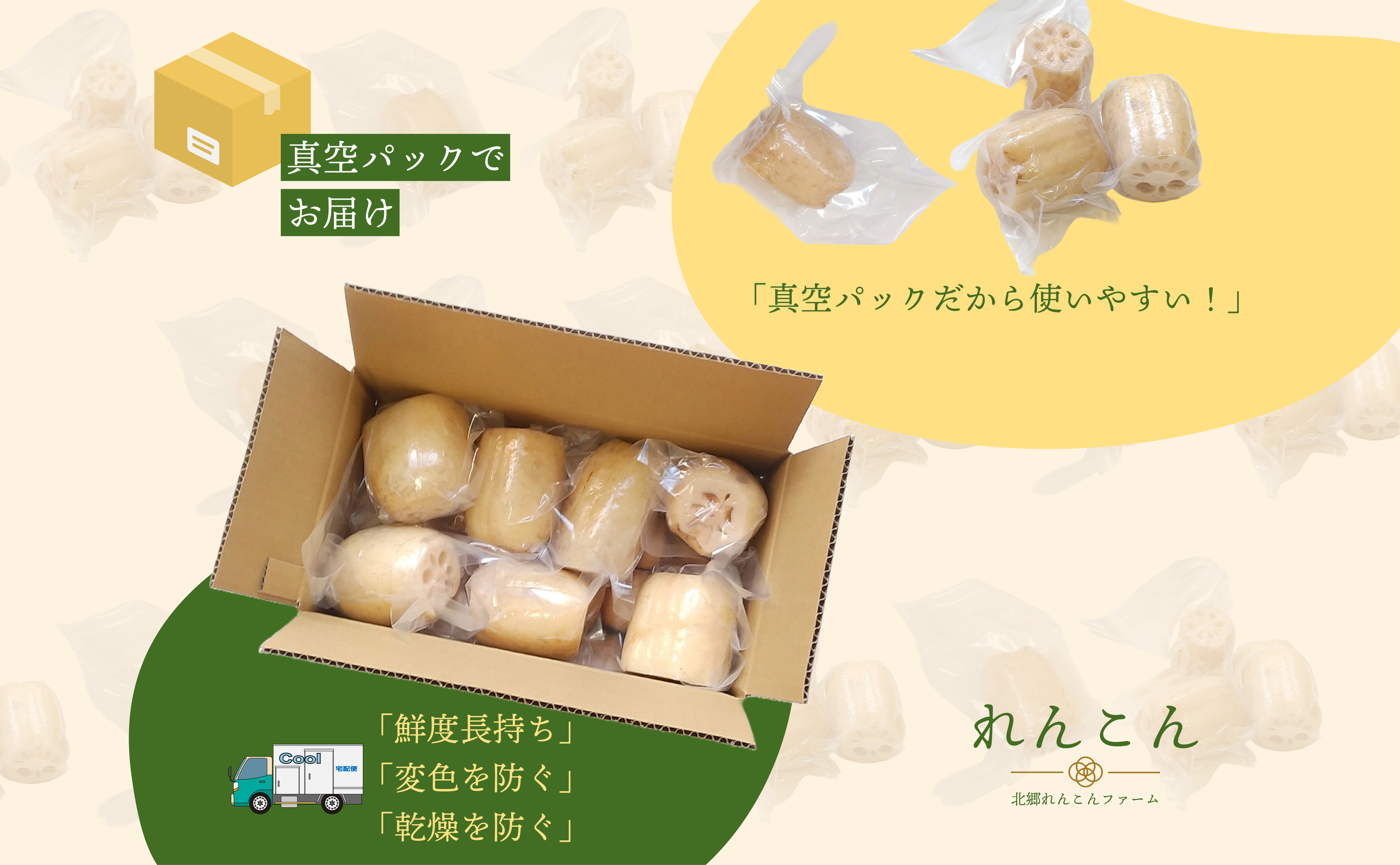 【テレビでも話題】千葉県神崎町産れんこん 2kg有機肥料栽培の甘みとシャキシャキ食感（真空パック・冷蔵配送）（※4月～8月は出荷不可）[022-a001]【千葉県 神崎町 ふるさと納税】