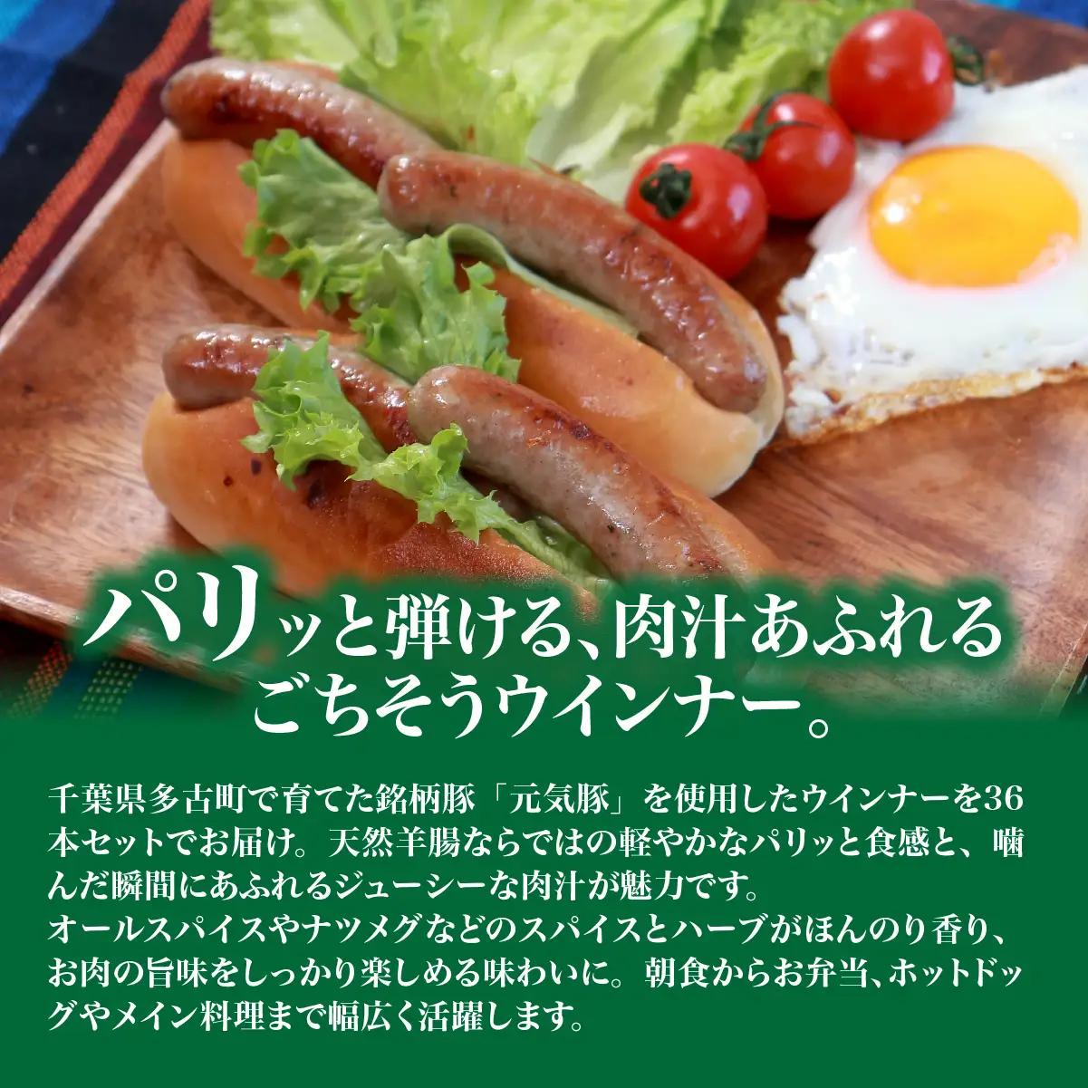 【千葉県多古町産】元気豚 ウインナーソーセージセット(36本入り)【配送不可地域：離島・沖縄県】 TAKB070