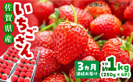 【1月から3月発送】【3回定期便】いちごさん 計1kg以上（約250g×4P）いちご イチゴ 苺[FDF002]