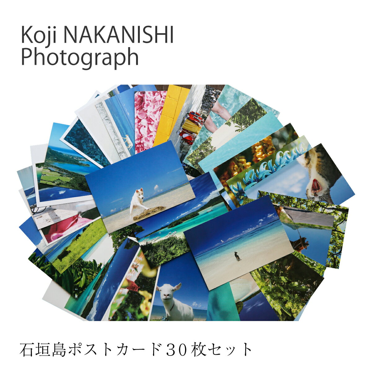 【ふるさと納税】石垣島ポストカード30枚セット nn-28