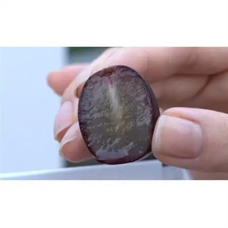 【2026年発送】10月下旬より発送「牧丘天空の丘マスカットノワール」約1kg(2～3房)【配送不可地域：離島】【1579849】