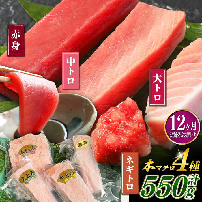 【ふるさと納税】【全12回定期便】対馬産 本マグロ 4種 計550g ( 赤身 / 中トロ / 大トロ / ネギトロ )《対馬市》【対海】[WAH017] 新鮮 マグロ 鮪 本鮪 赤身 中トロ 大トロ ねぎとろ 海鮮 冷凍 定期