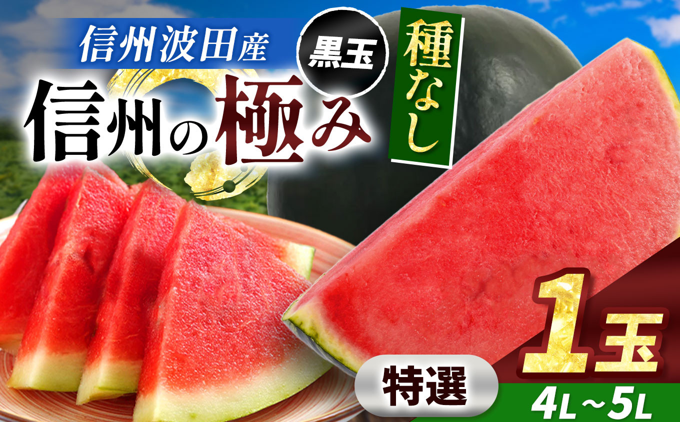 
            【先行予約】信州波田産 種無し黒玉スイカ！信州の極み 【特選】 4L～5Lサイズ 1玉｜ふるさと納税 長野県 信州 松本 果物 フルーツ すいか スイカ 西瓜 贈答 季節限定 甘い くだもの ふるーつ
          