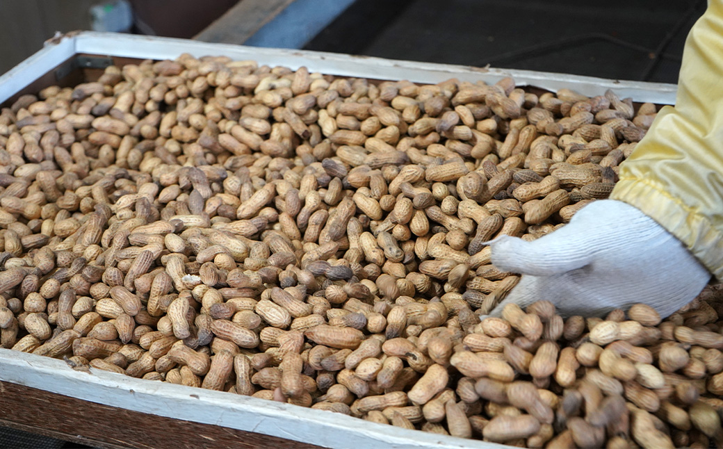 素煎ピーナッツ 4袋 約110g/袋 計約440g | ピーナッツ 落花生 おつまみ ナッツ類 栄養 たんぱく質 食物繊維 自家焙煎 タンパク質 コレステロール 香ばしい お菓子 コーヒータイム お酒