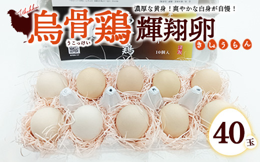 
            烏骨鶏　濃厚な黄身！爽やかな白身が自慢！【烏骨鶏輝翔卵】40玉 ◇ ※離島への配送不可
          
