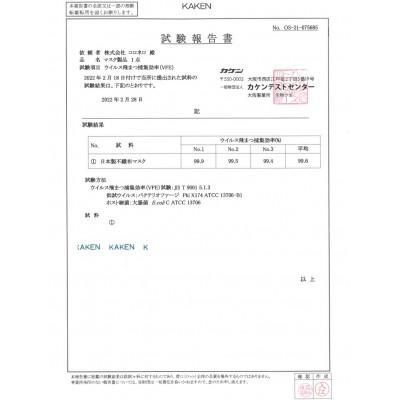 ふるさと納税 岩美町 【50枚入り×2箱(100枚)】耳が痛くなりにくい不織布マスク　鳥取岩美町製造 |  | 03