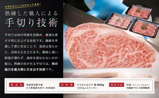 【最高品質のA5等級 西都和牛】黒毛和牛赤身焼肉 600g ＜1.4-6＞【カミチクファーム】