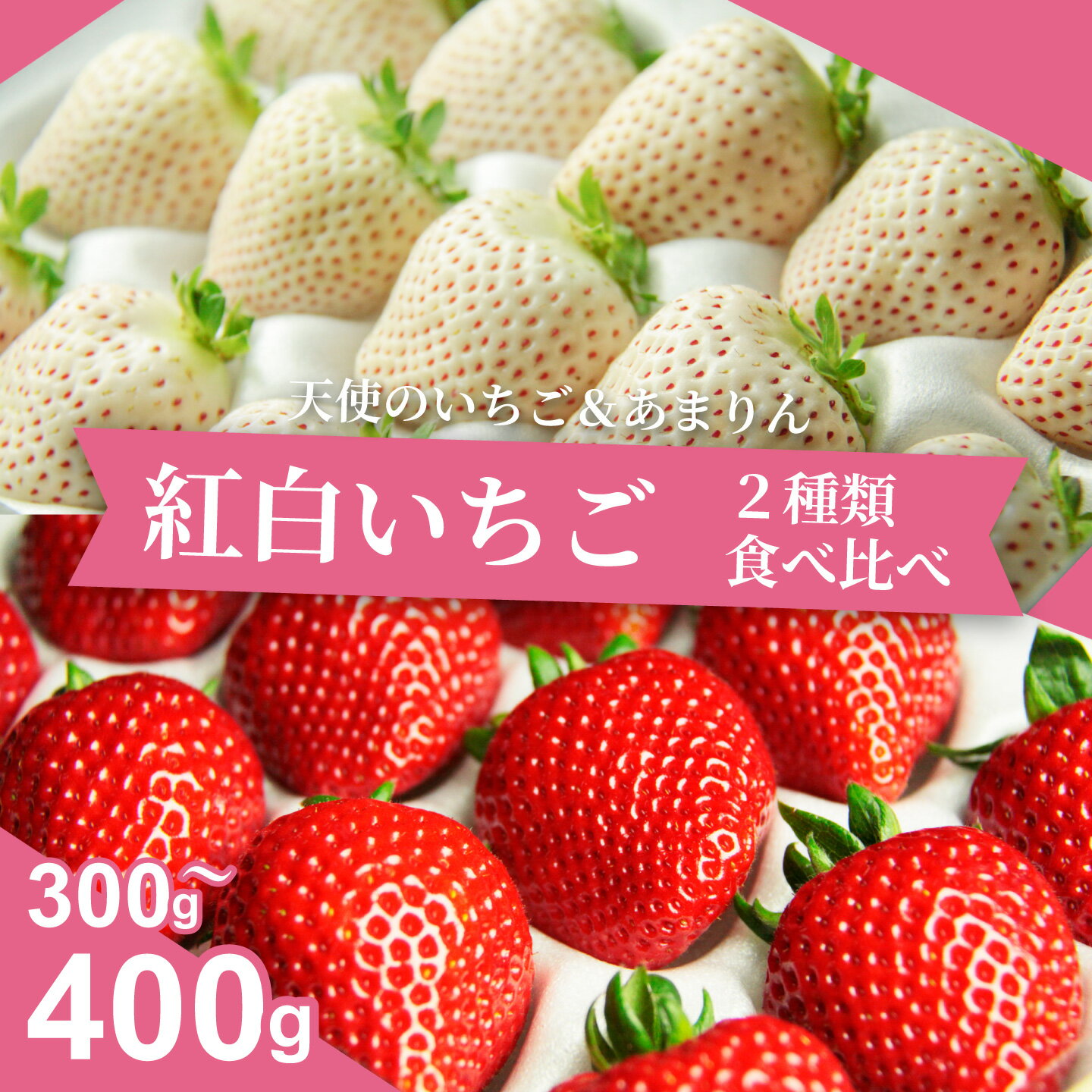 【ふるさと納税】発送1月～【先行受付】紅白いちご　2種食べ比べ　「あまりん」＆「天使のいちご」【苺】 イチゴ おおきい スイーツ あかい 果物 ふるさと納税 いちご うまい フルーツ 期間限定 人気いちご まるい 甘い いちご 旬 直送 おすすめいちご ストロベリー 苺ジャム